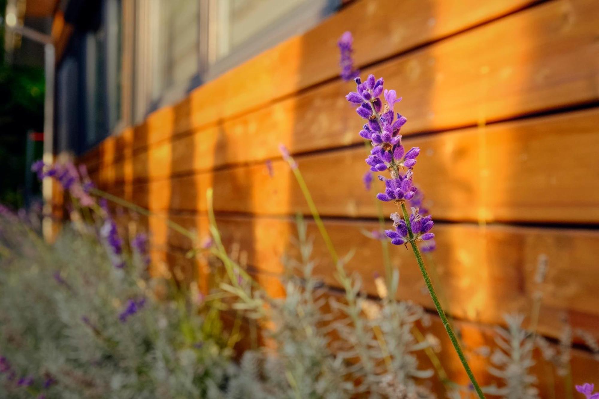 Villa Krotoszyce Eksteriør bilde